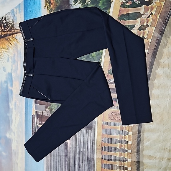 Ann Taylor Pleated Dress Pants Size 4 NWT - Picture 1 of 6